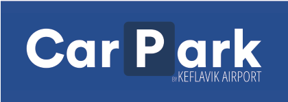 Webflow logo 1